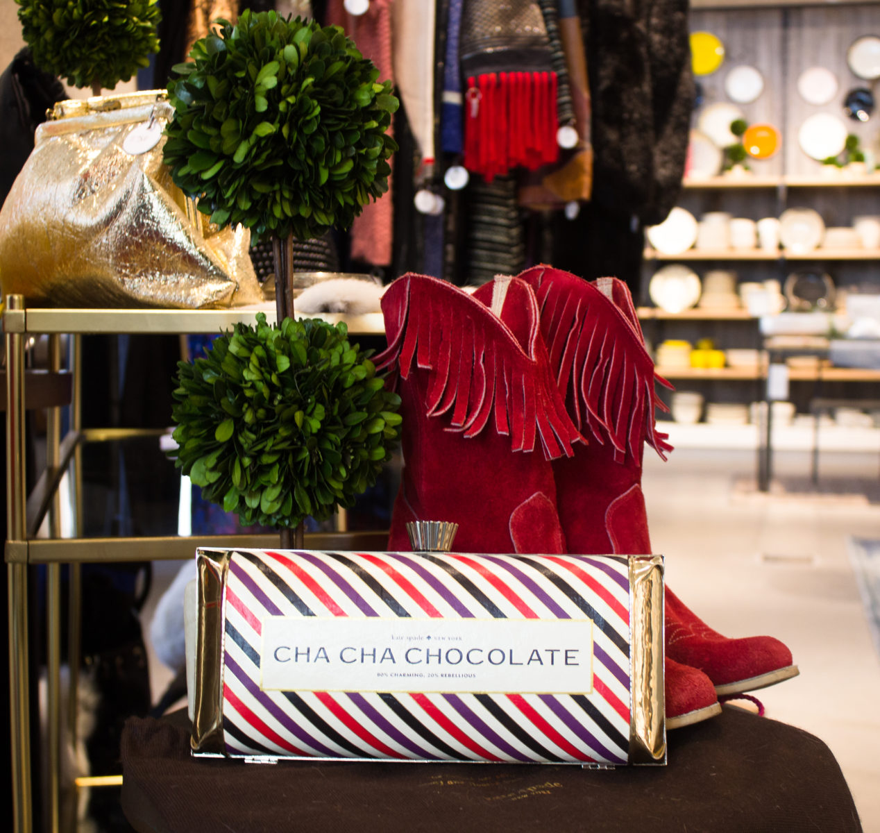 Cha Cha Chocolate Clutch & Red Cowboy Boots