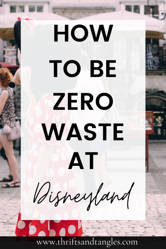 Zero Waste Guide to Disneyland