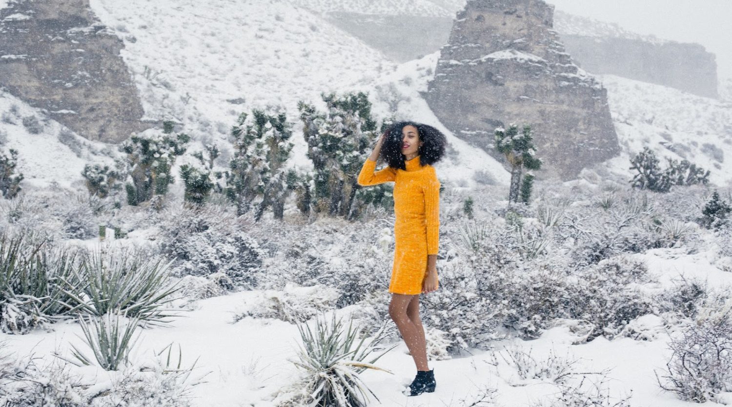 Vintage Orange Dress in Snow