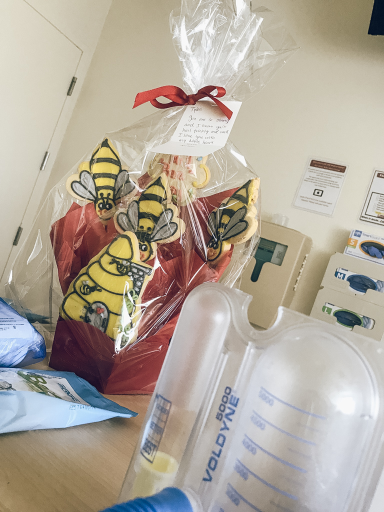 Adorable Bumble Bee Cookie Gift Basket Wrapped in Plastic