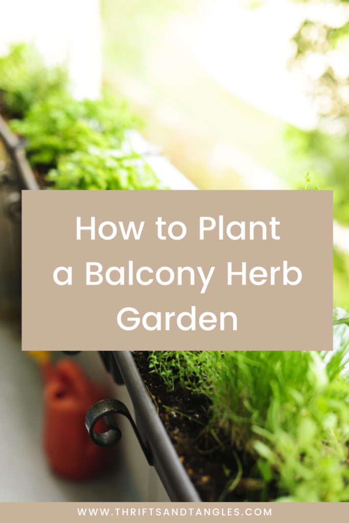 How to Plant a Balcony Herb Garden