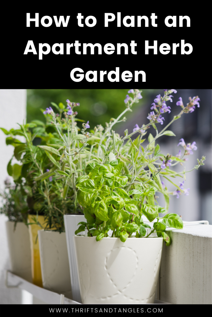 How to Plant an Apartment Herb Garden