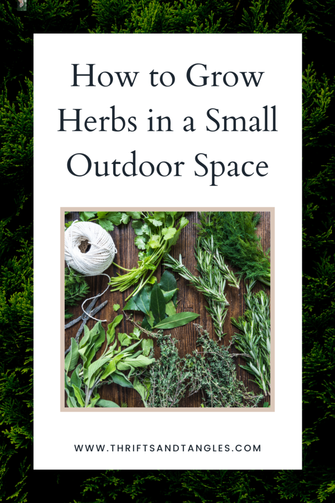 How to Grow Herbs in a Small Outdoor Space