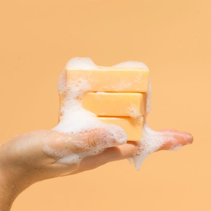 shampoo and conditioner bars reviews