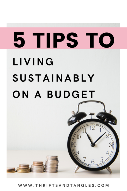 being sustainable on a budget