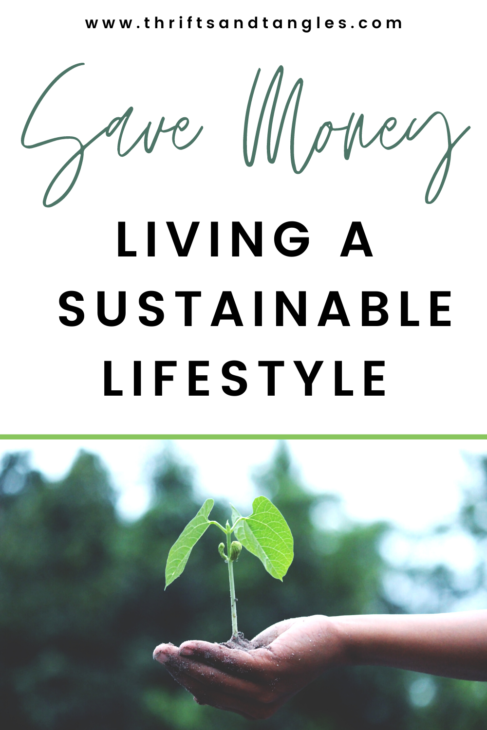 eco friendly ways to save money