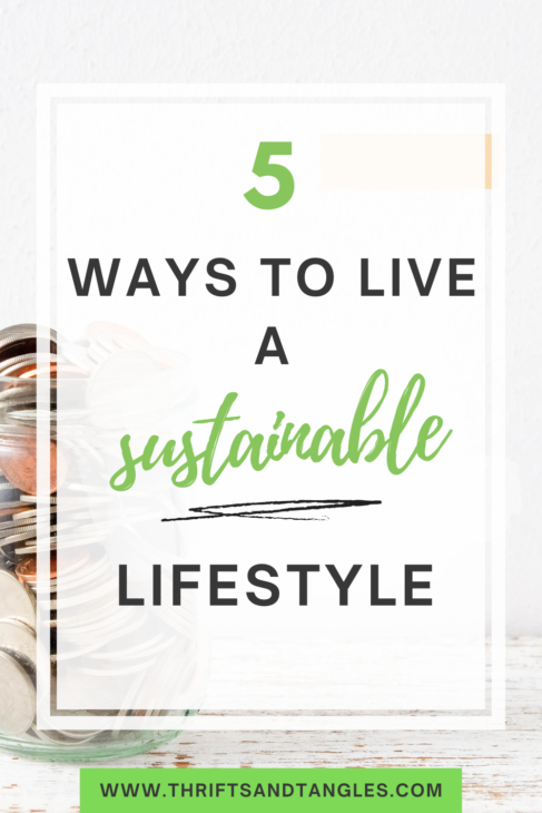 save money living sustainable lifestyle